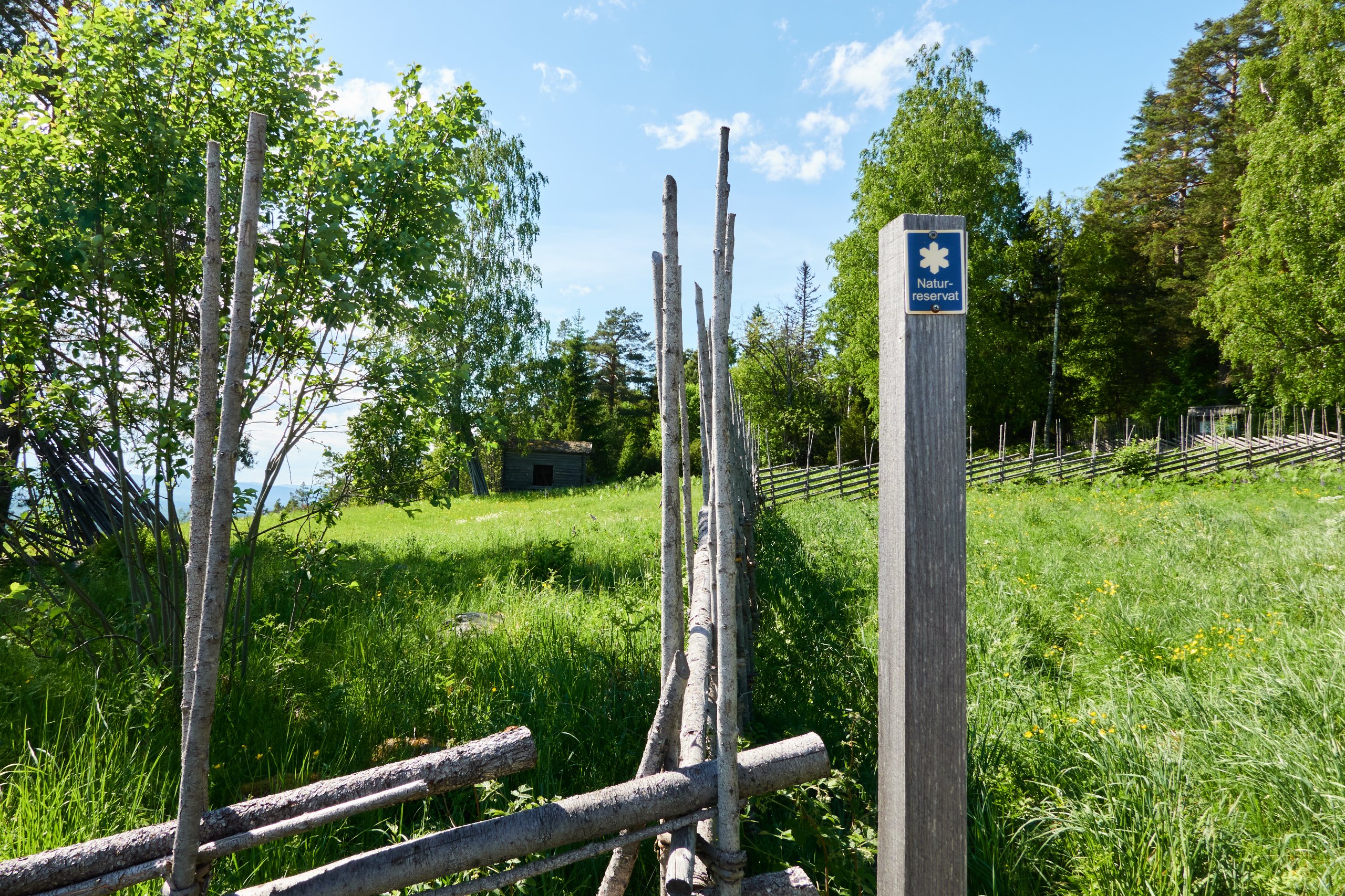 2024 05 24 Sverige 0291